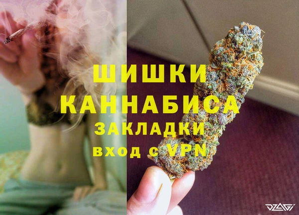 крисы Абаза