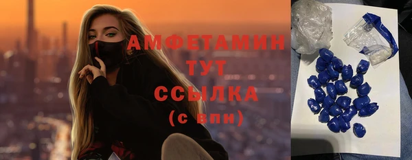 крисы Абаза