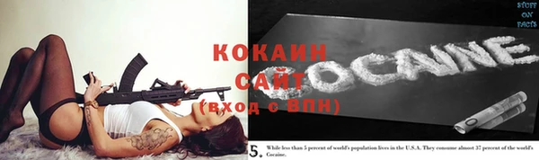 крисы Абаза