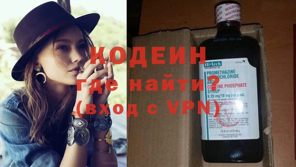 крисы Абаза