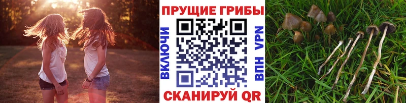 Псилоцибиновые грибы MAGIC MUSHROOMS  Ярославль 